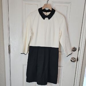 Maison Jules Cream and Gray Sheath Dress with Peter Pan Collar